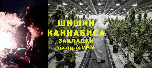 ГАЛЛЮЦИНОГЕННЫЕ ГРИБЫ Армянск