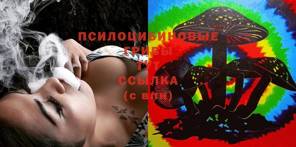ГАЛЛЮЦИНОГЕННЫЕ ГРИБЫ Армянск