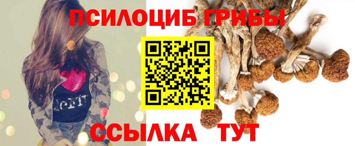 Галлюциногенные грибы Psilocybe Нижнеудинск