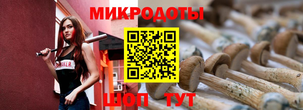 Нижнеудинск  Псилоцибиновые грибы Psilocybe  Вход с VPN 